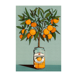 San Pellegrino Orange Tree Print A4
